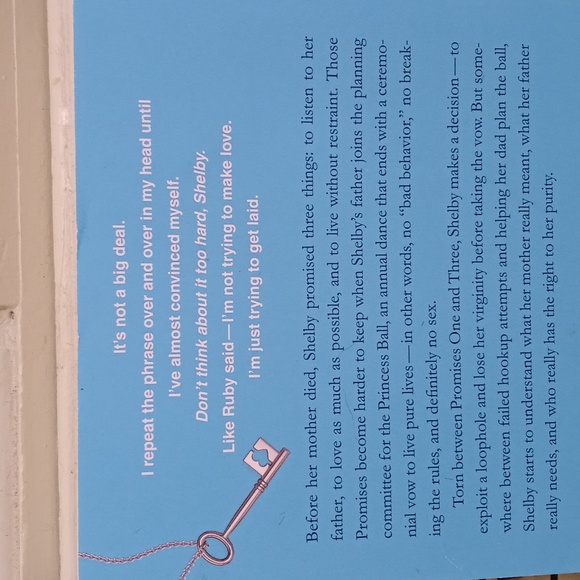 Books - Purity by Jackson Pearce - Picture 4 of 8